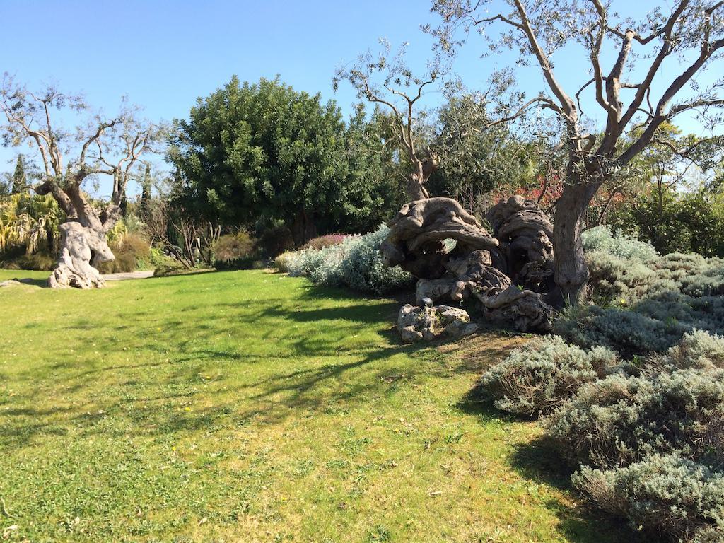 Bed and Breakfast Seven Maze Charming House Bari Exterior foto